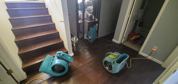 Cost of Water Damage Remediation in Chesapeake