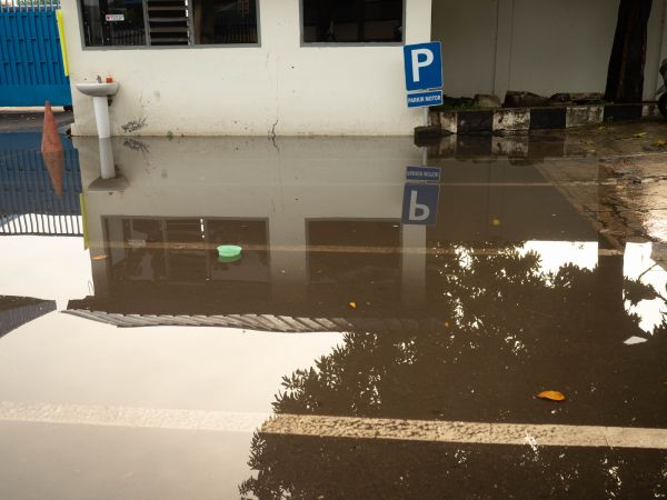 Cost of Storm Damage Repair in Chesapeake